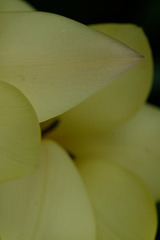 DSCF5641