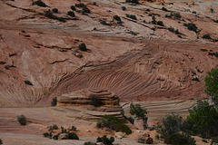 Zion Nat Park, L1007632