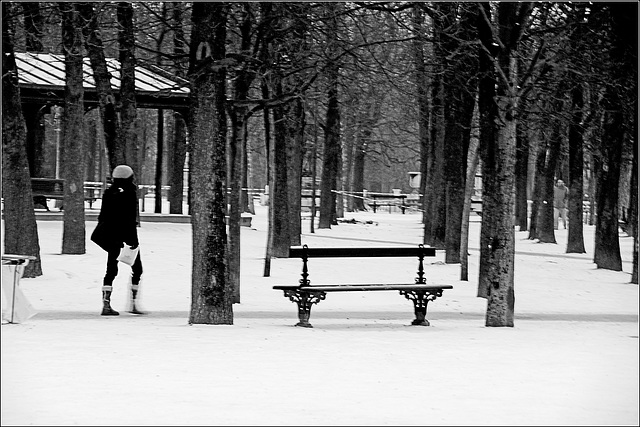 Le Jardin du Luxembourg enneigé 5/7-février 2010