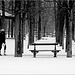 Le Jardin du Luxembourg enneigé 5/7-février 2010