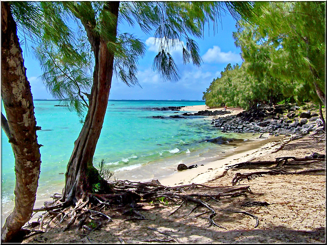 Questo è il mare dell'isola nell'oceano indiano : Mauritius