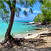 Questo è il mare dell'isola nell'oceano indiano : Mauritius