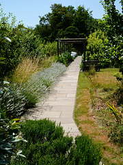 White lavender, etc