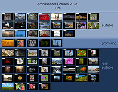 Ambassador Pictures 2023, June