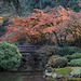 Autumn at Moon Bridge