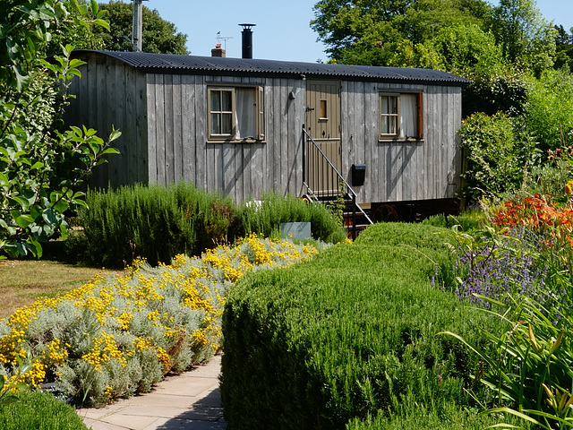 Cotton lavender and shed