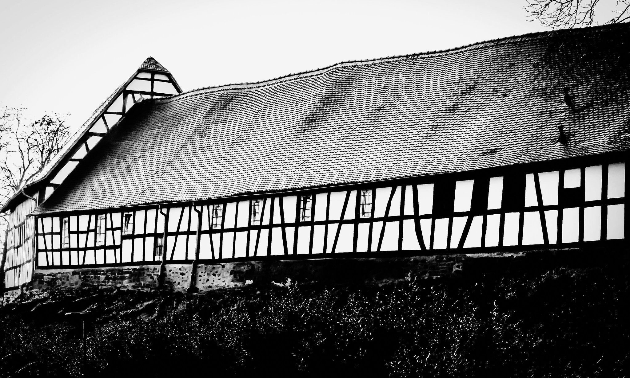 Timbered