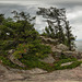 Cloudy Summer Afternoon at Killbear Provincial Park (360degree view)