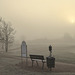 Morgensonne und Nebel am Golfplatz Kurpfalz