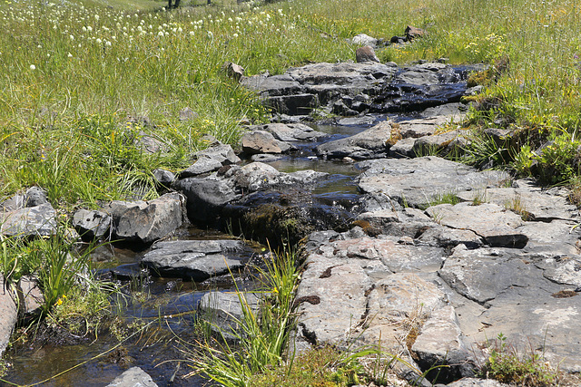 Brooks Memorial State Park