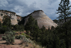 Zion Nat Park,  Checkerboard Mesa