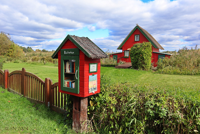Happy Fence Friday ! Happy Fence Friday !