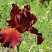 P5028854