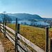 #37 - Leo W - Fence over lake Schliersee - 22̊ 3points