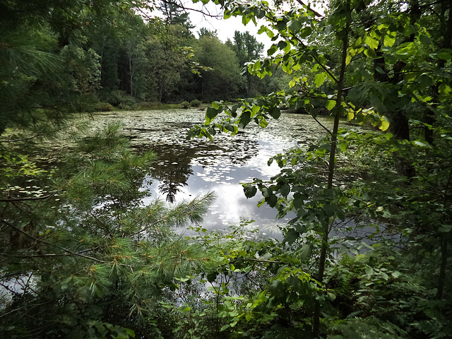 Nature de l'Outaouais (4)