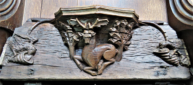 boston church,lincs (26) c14 misericord stag eagle shell