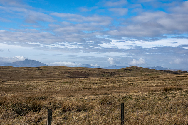 Denbigh moors