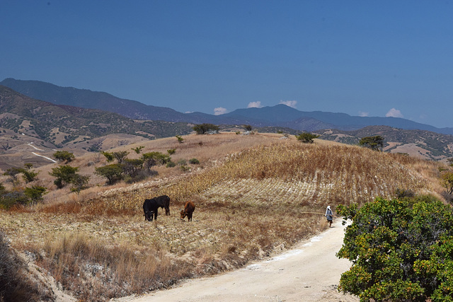 Ixtlahuaca Hike