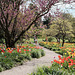A Walk In The Park