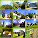 Hohentwiel - 09.04.2025 - Singen