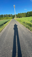 Longlong