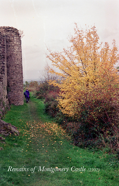 Remains of Montgomery Castle (Scan from 1992)