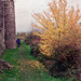 Remains of Montgomery Castle (Scan from 1992)