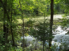 Nature de l'Outaouais (3)