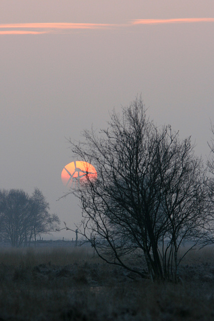 Sonnenaufgang im Bargerveen