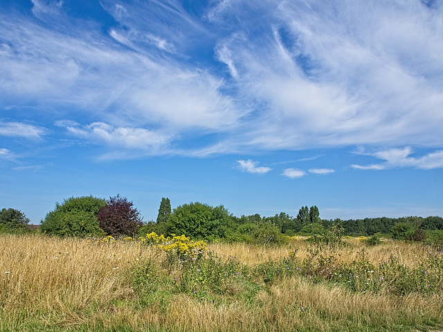 Milton Common, Portsmouth (+PiP)