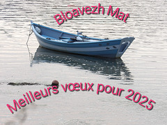 Nos veûs les meillous en gallo ou encore la ghillanée ......... Bloavezh Mat en breton ....