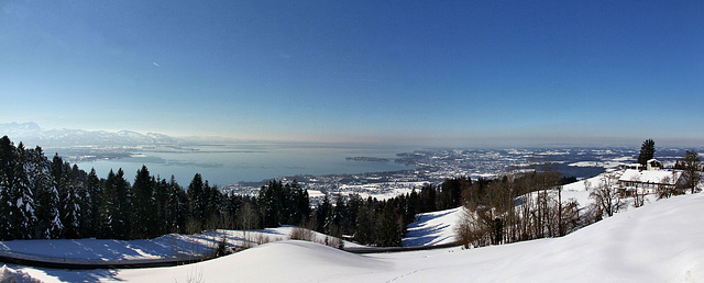 Blick auf den Bodensee