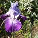 P5028852