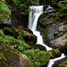 Triberger Wasserfälle / Triberg Waterfalls