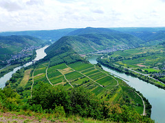 DE - Bremm - Blick vom Gipfel des Calmont