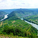 DE - Bremm - Blick vom Gipfel des Calmont