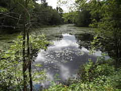 Nature de l'Outaouais (2)