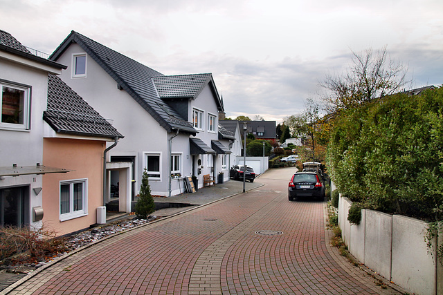 Herzkamper Mulde (Sprockhövel-Herzkamp) / 6.11.2022