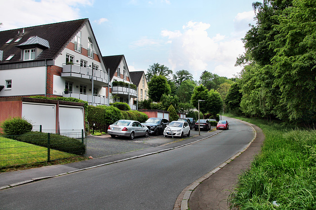 Am Pastorenwäldchen (Dortmund-Kirchhörde) / 18.05.2024