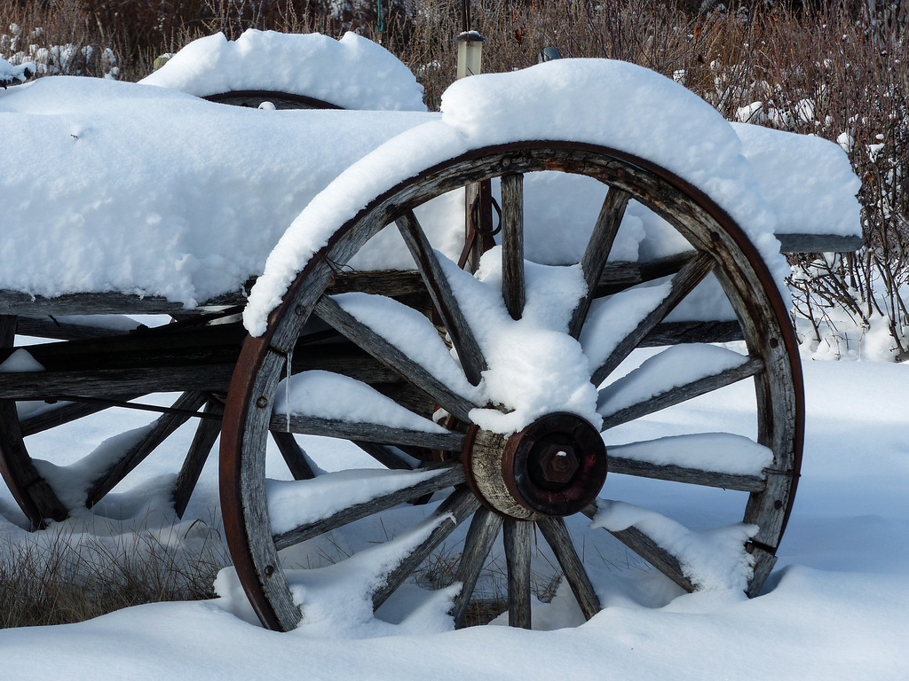 Old wagon in winter