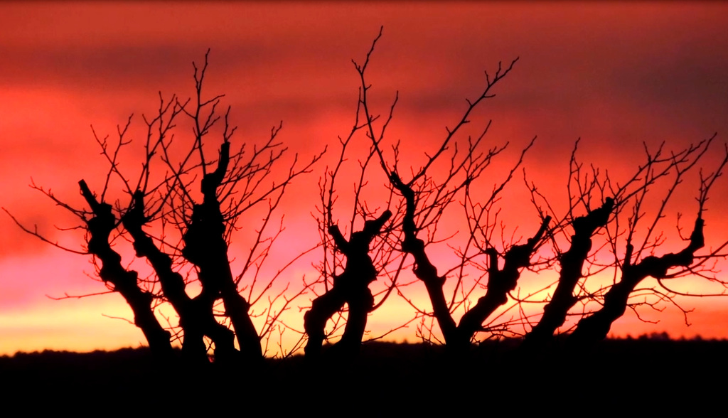 Colorful sunrise