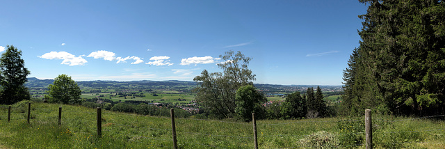 Heinrichweg bei Sulzberg (pip)