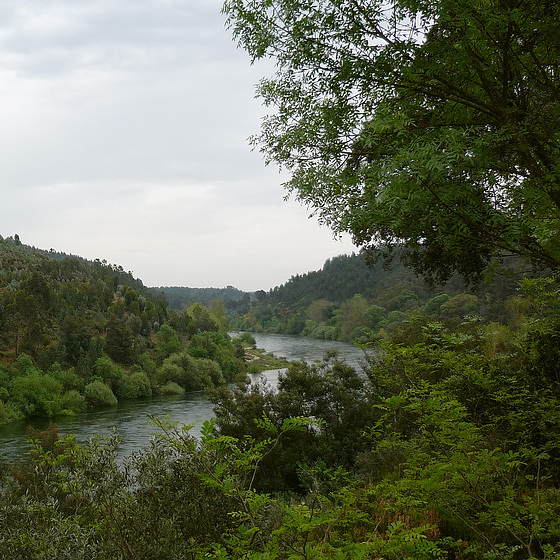 Zêzere River