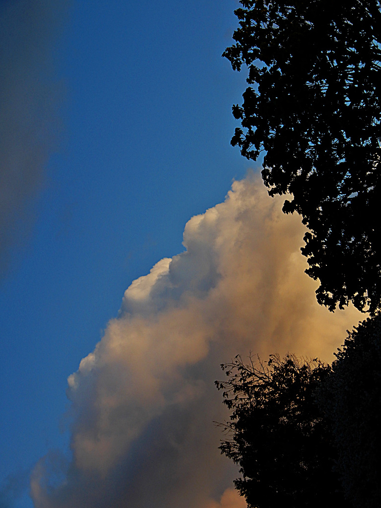 dans les nuages