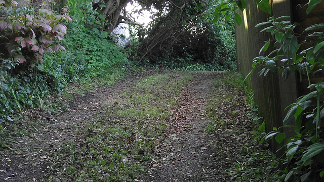 The driveway has been cleared