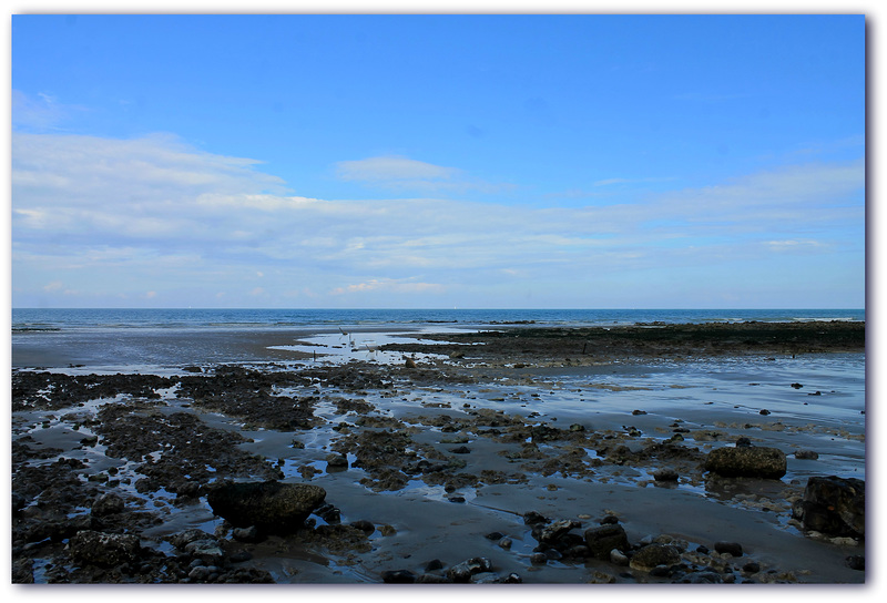 Le grand bleu