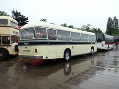 Preserved former Crosville CRG103 (AFM 103G) - 27 Jul 2019 (P1030286)