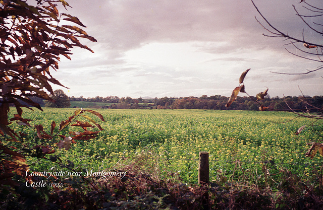 Countryside near Montgomery Castle (Scan from 1992)