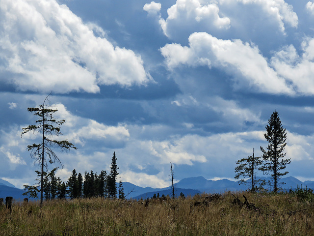Storm clouds over clearcut logged land, Pringle Mt