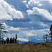 Storm clouds over clearcut logged land, Pringle Mt